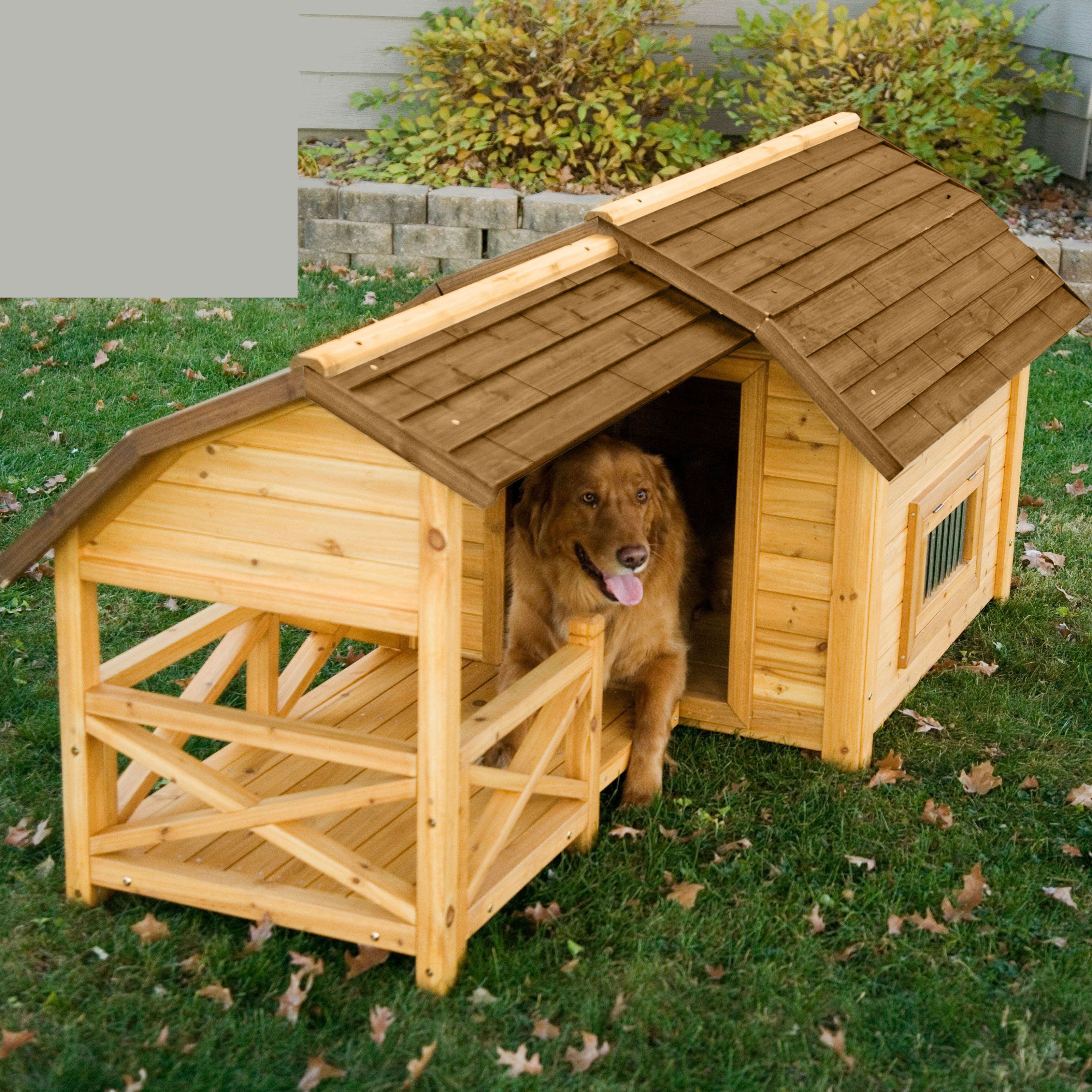 Hot Dog Outside? Spruce Up Your Pet's Dog House this July | BaxterBoo