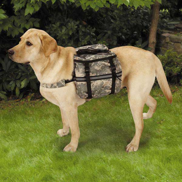 Casual Canine Digital Camo Day Tripper Dog Backpack at BaxterBoo