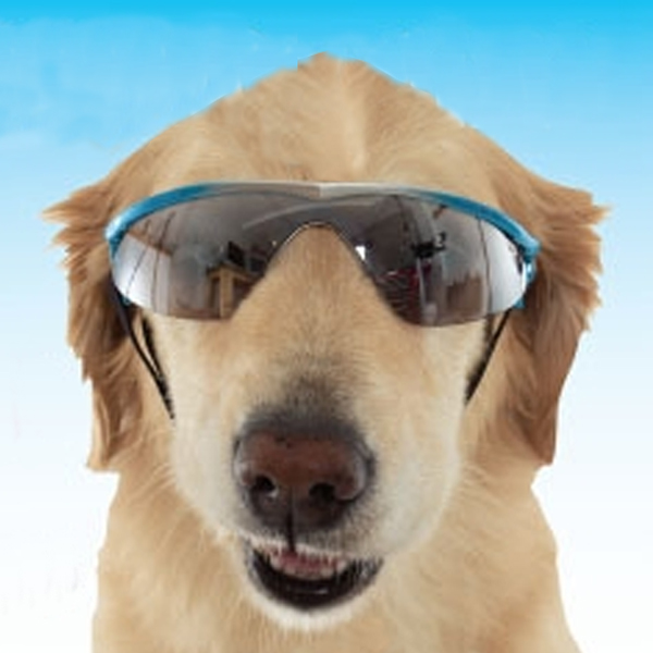 doggles-k9-optix-rubber-sunglasses-for-dogs-blue-gradient-with-smoke-lenses-1.jpg