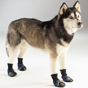 guardian-gear-dog-boots-blue-1.jpg