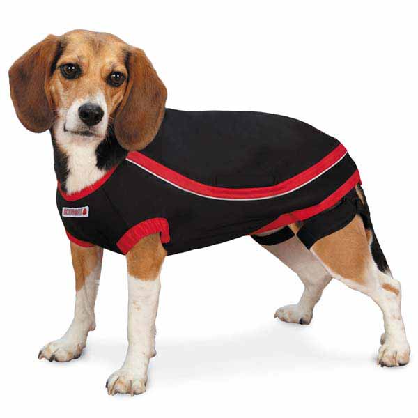 KONG Anxiety-Reducing Dog Shirt - Black at BaxterBoo