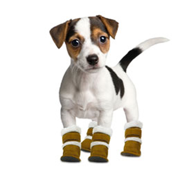 BaxterBoo Boots for at Dog Pugz  slippers pets