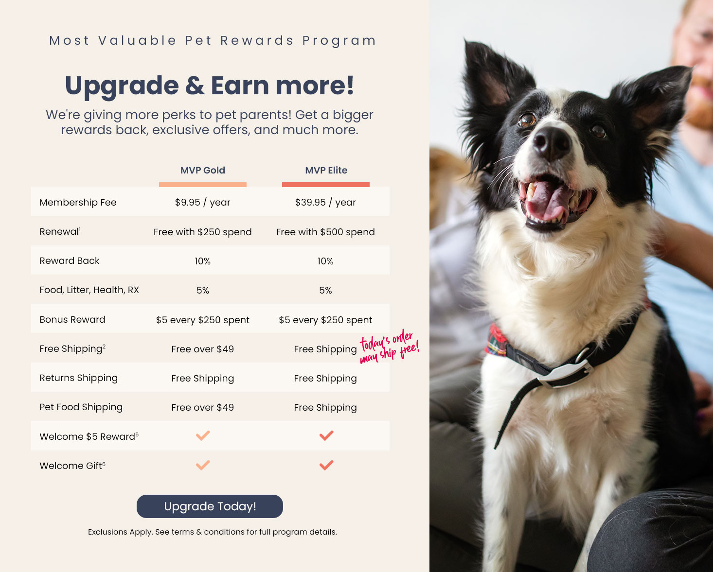 Most Valuable Pet Loyalty Program