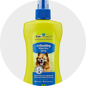 Dog Grooming - Dry Shampoo