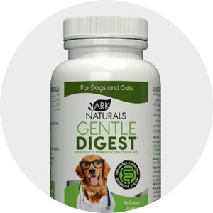 Dog Health - Digestive & Urinary Aid