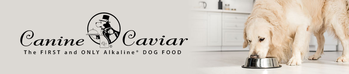 Canine Caviar Dog Food