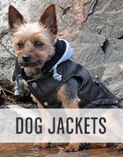 baxterboo dog coats