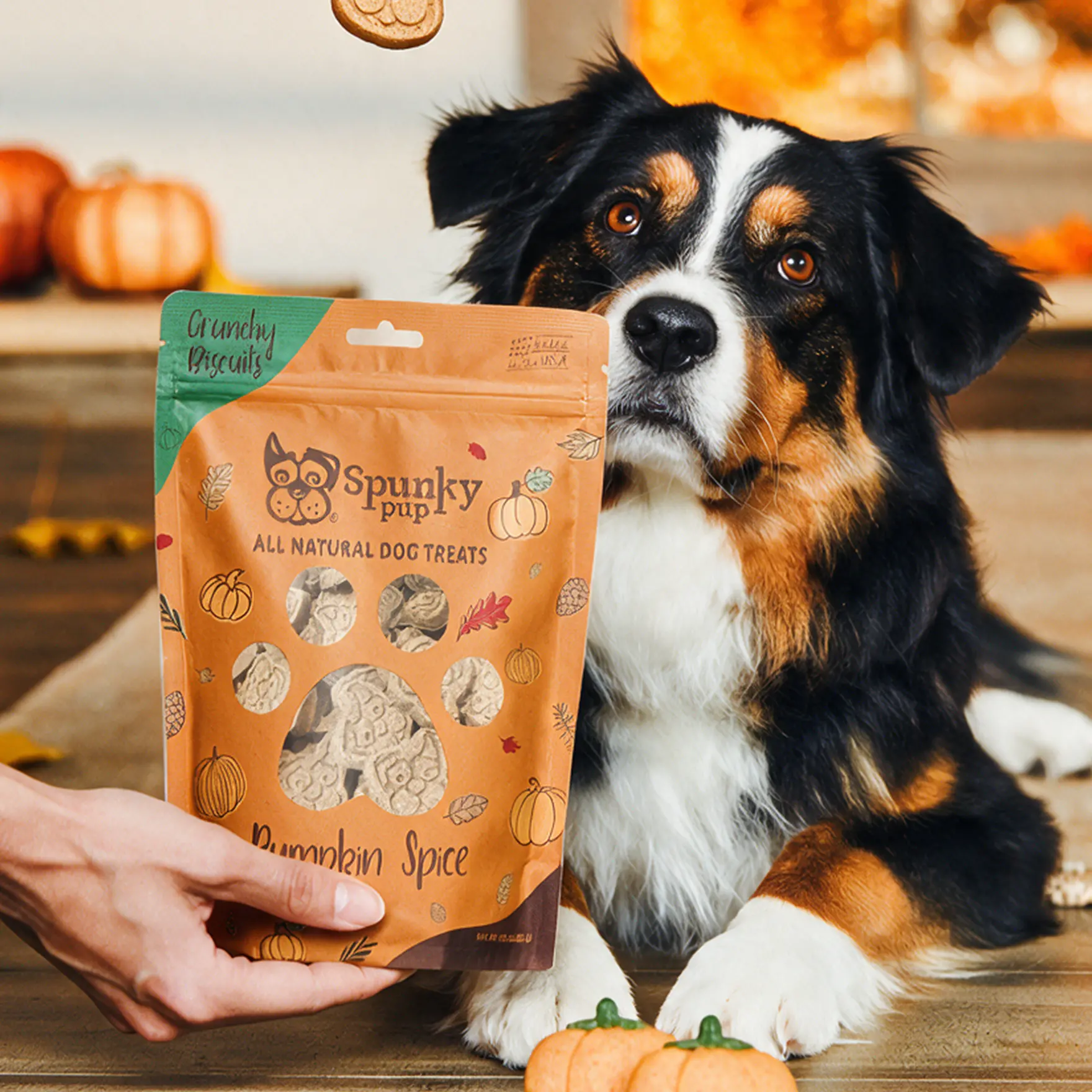 Halloween treats for dogs and cats