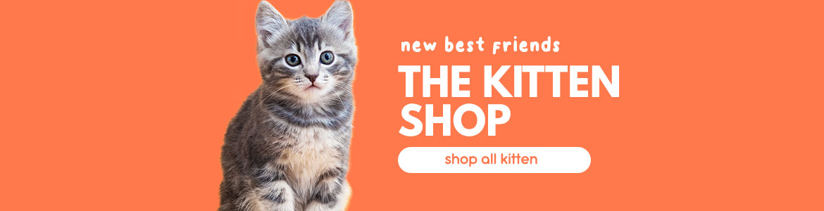 Shop Kitten