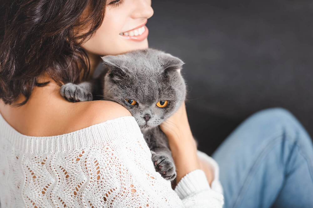 4 Tips for Bringing a New Cat Home