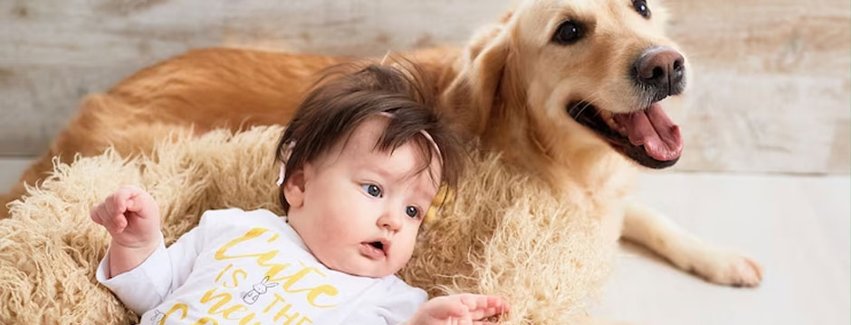 Top 10 Dog Breeds for Families with Kids: Finding the Perfect Furry Companion