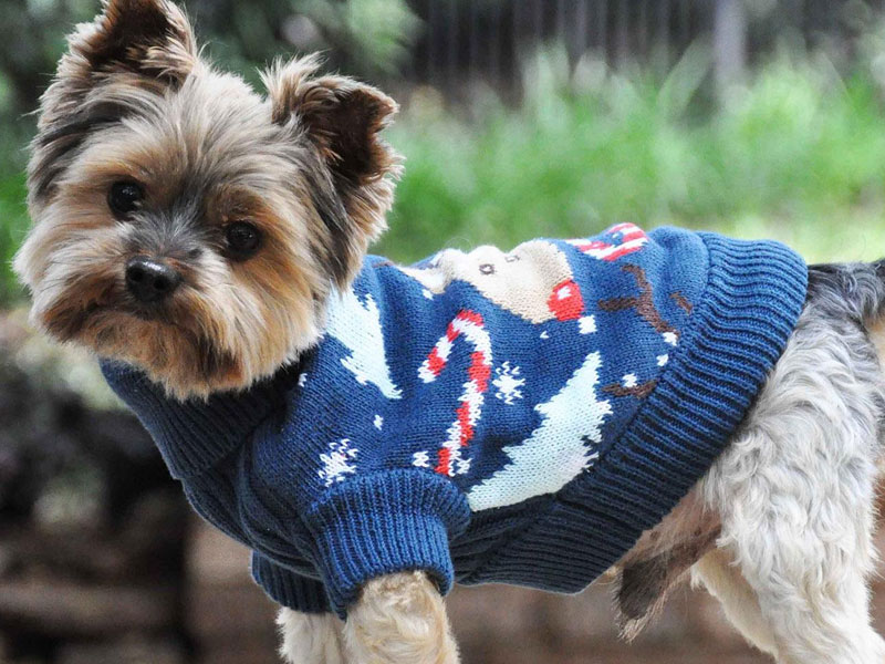 Holiday Sweaters Add Fashion to Function