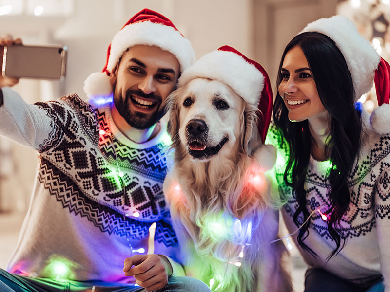 9 Tips for Taking the Best Holiday Photos With Your Pet