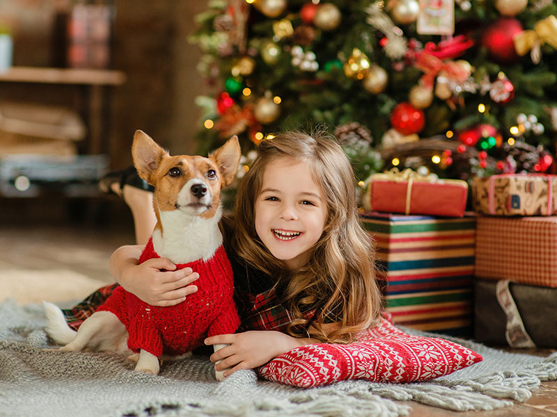8 Holiday Activities for You and Your Pet