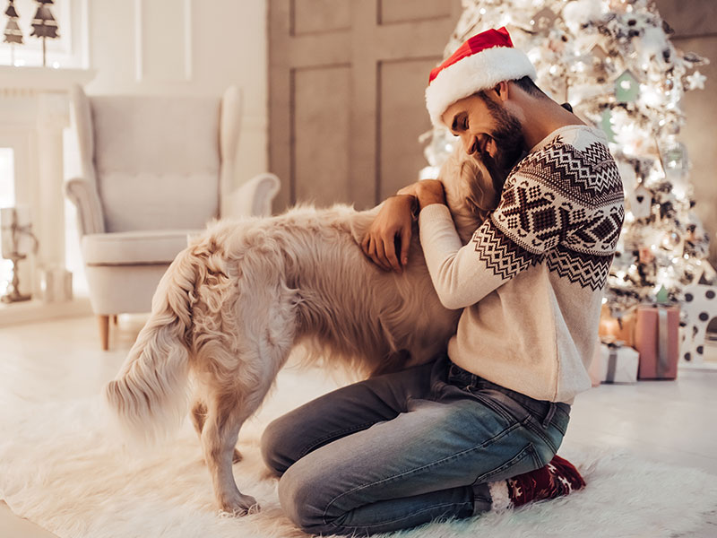 Here Comes Santa Paws: 7 Dog-Themed Gifts for the Dog Lover in Your Life