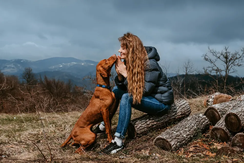 Top 10 High-Protein Dog Foods for Active Breeds (Made in the USA)