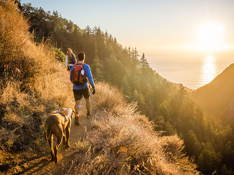 How To Have Fun Hiking With Your Pet