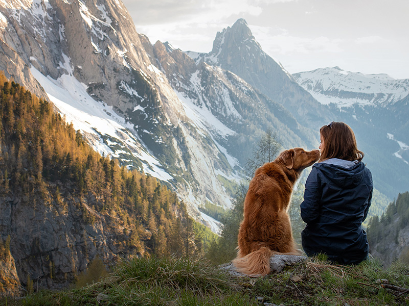 Some Top Dos and Donâ€™ts for Hiking With Your Dog