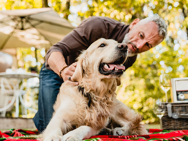 A Guide To Lumps on Dogs: How To Check for Them and When To Go To the Vet