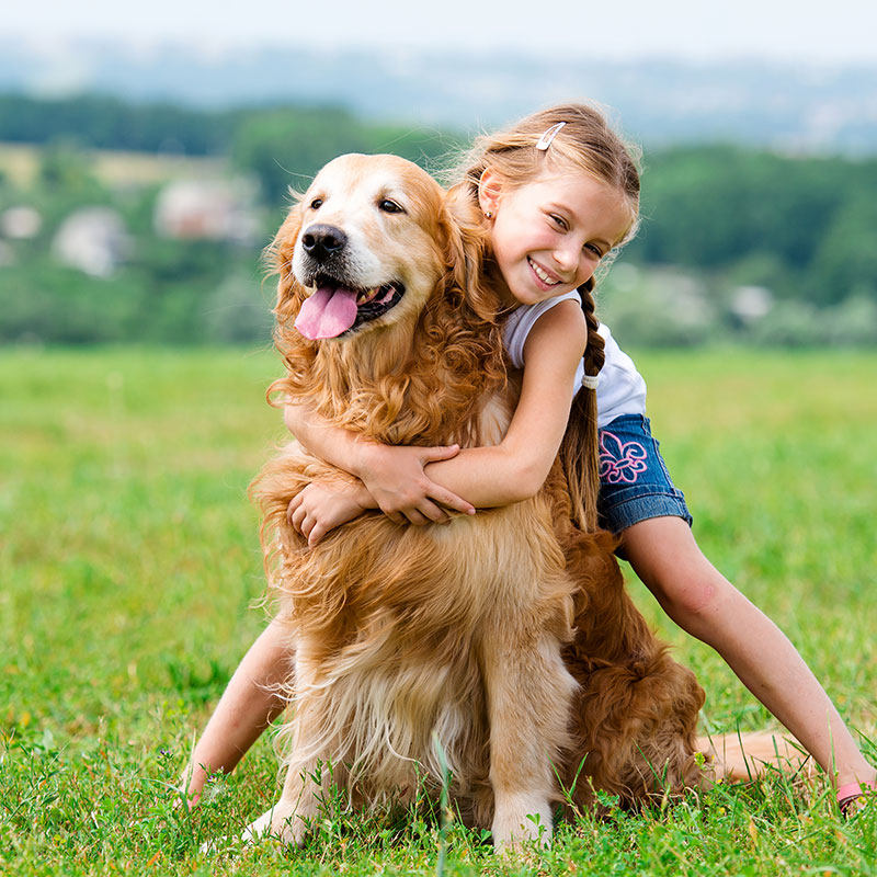 Tips for Celebrating National Hug Your Dog Day - April 10th