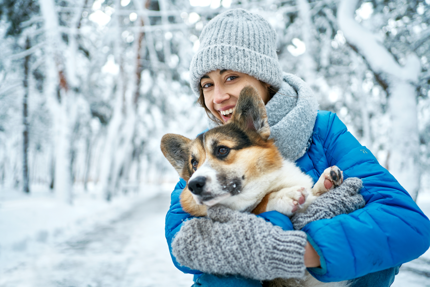 Keep Your Pet Warmer This Winter With These Tips