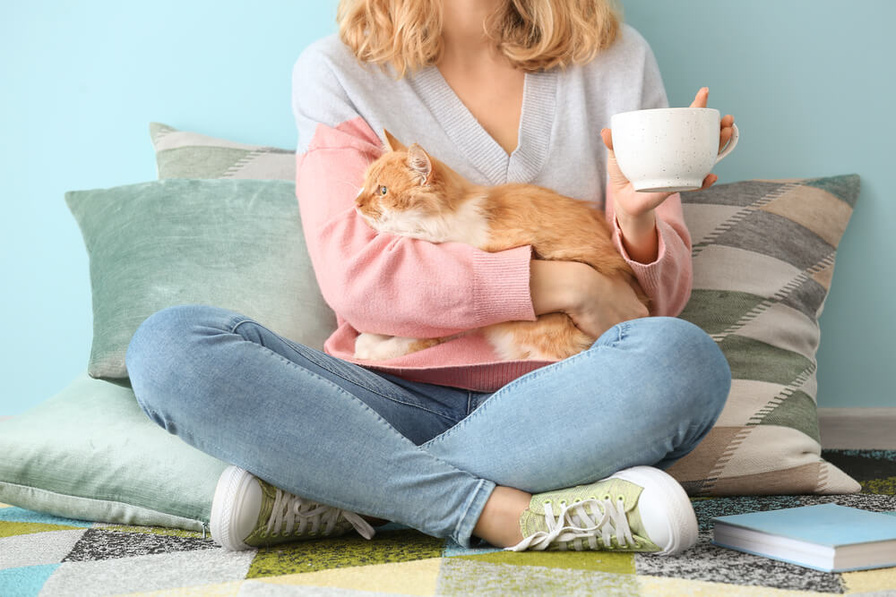 How To Get Cat Hair Off Clothing