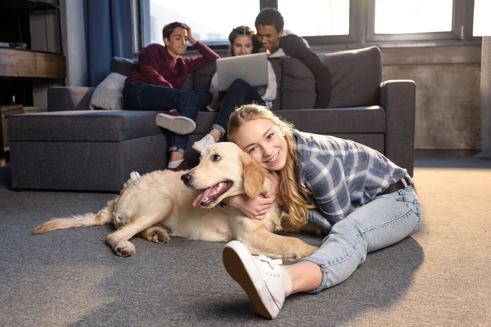 Are Golden Retrievers Hypoallergenic?