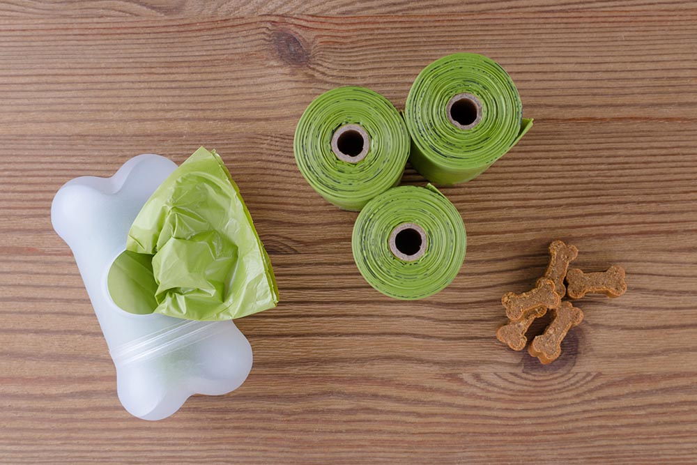How To Be an Eco-Friendly Pet Owner