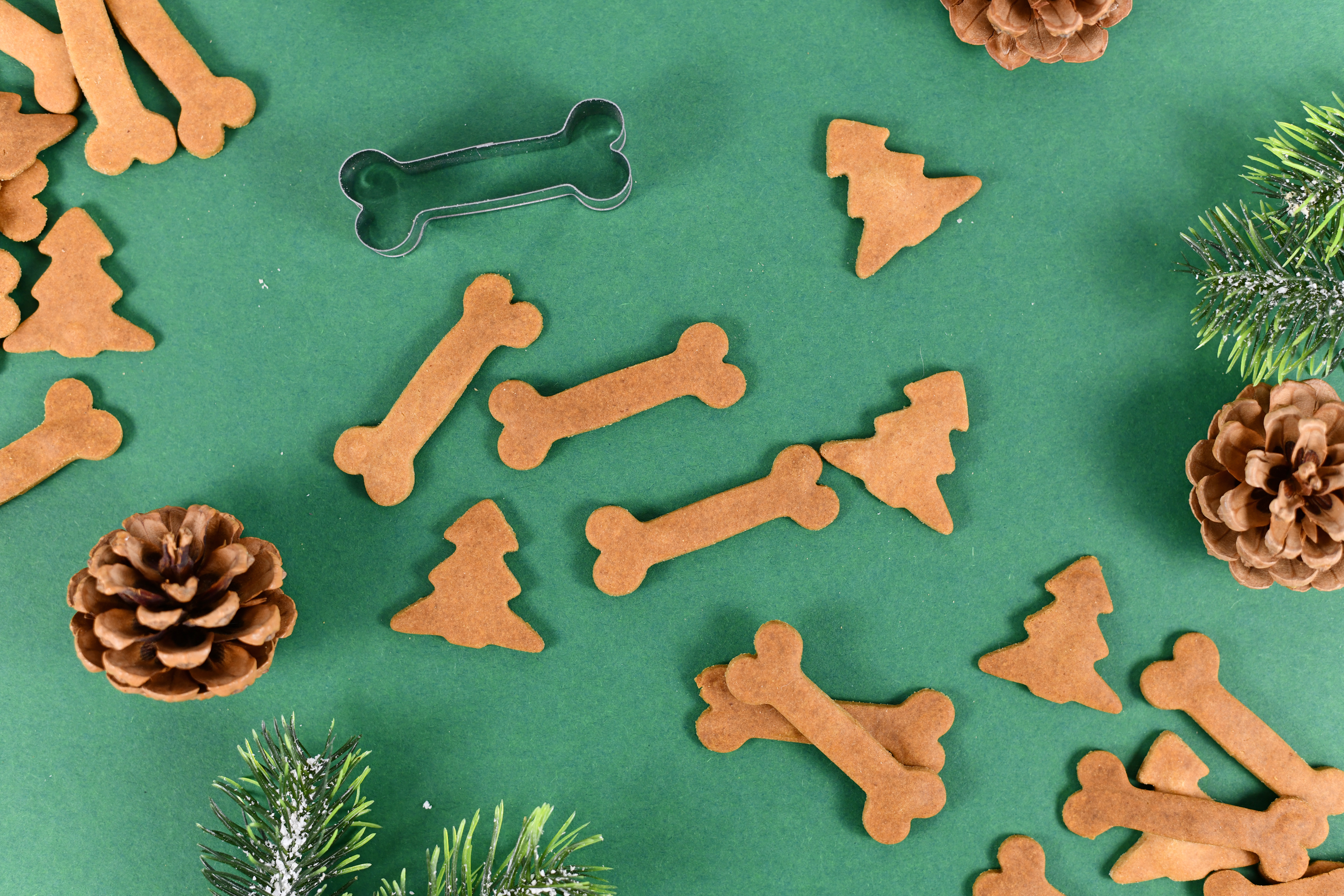 8 Yummy and Wholesome Holiday Pet Treats