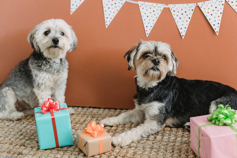 Unwrap Joy: Top Christmas Gifts & Holiday Treats for Your Furry Friends