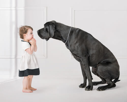 The 7 Best Dog Breeds for Small Children