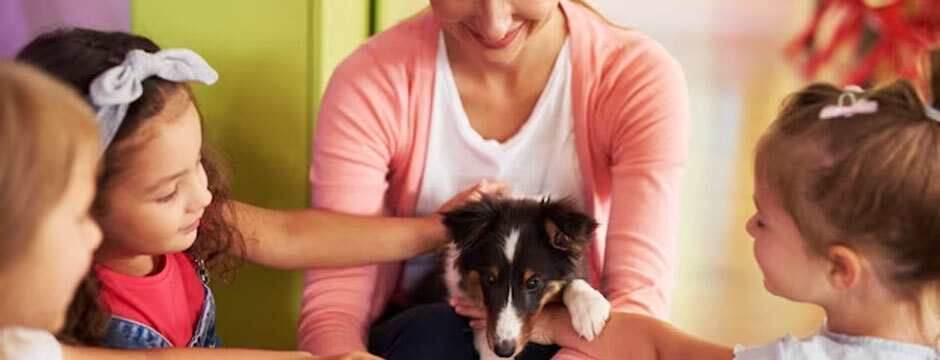 The Pros and Cons of Dog Daycare