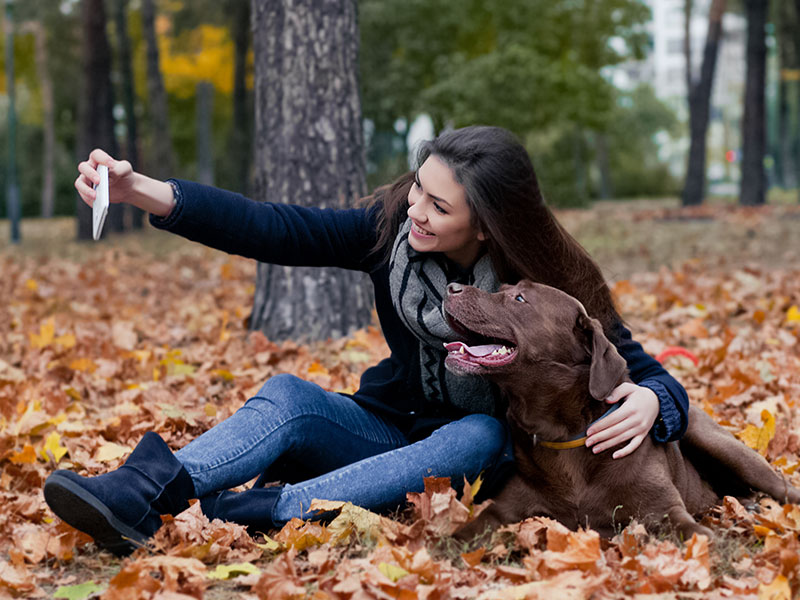 5 Tips for Taking a Great Halloween Photo With Your Dog