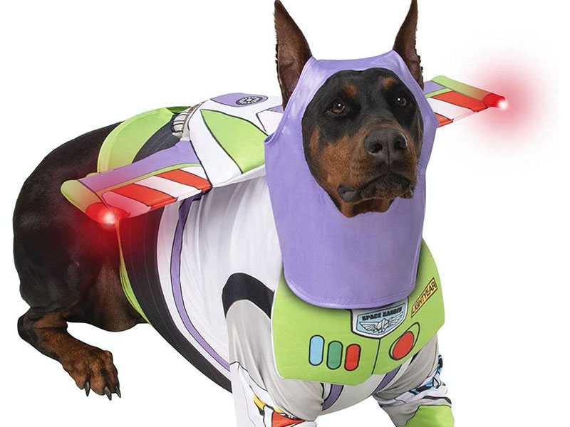 Halloween Costumes for Large Dogs