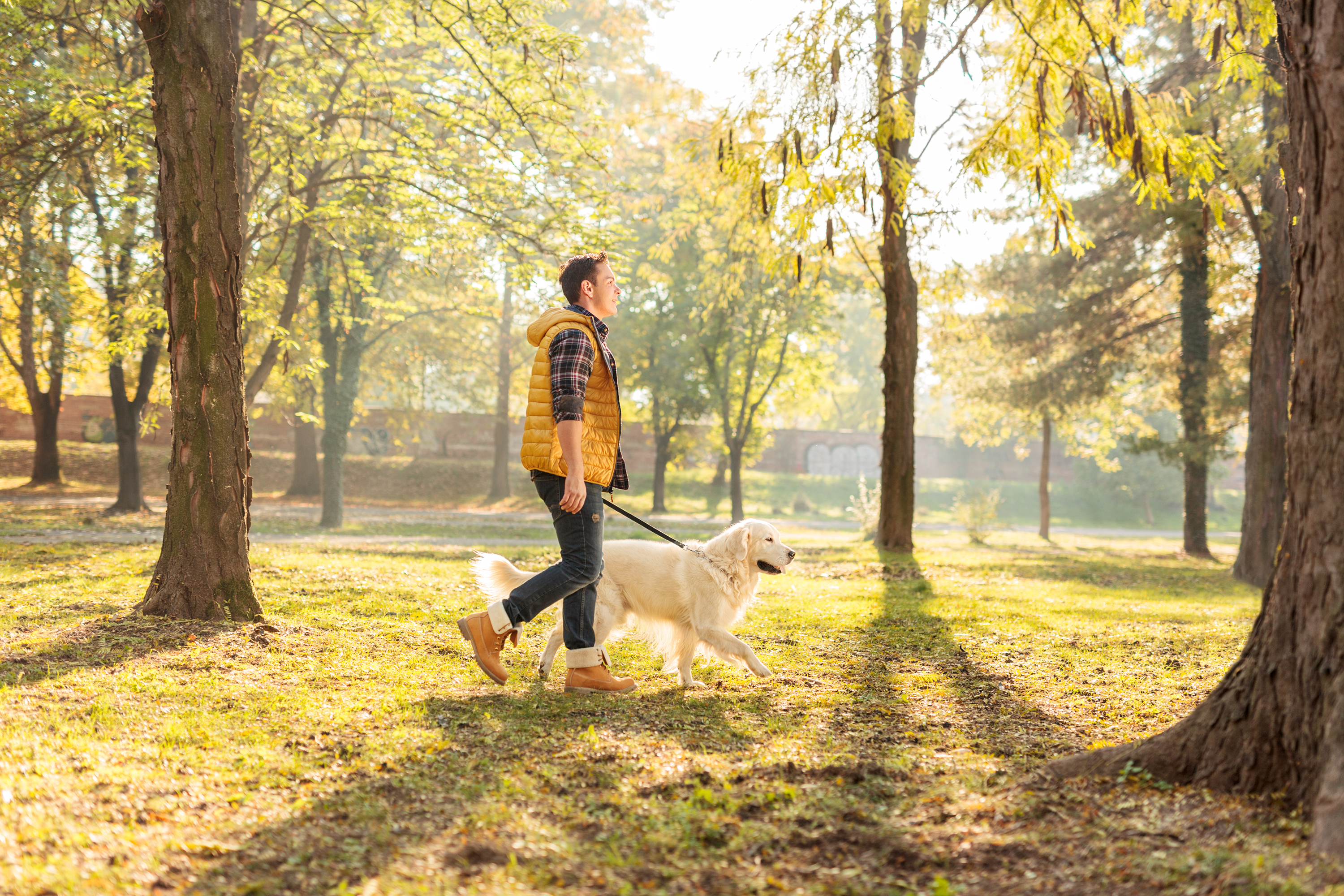 4 Benefits of Walking Your Dog Daily and How To Do It Safely