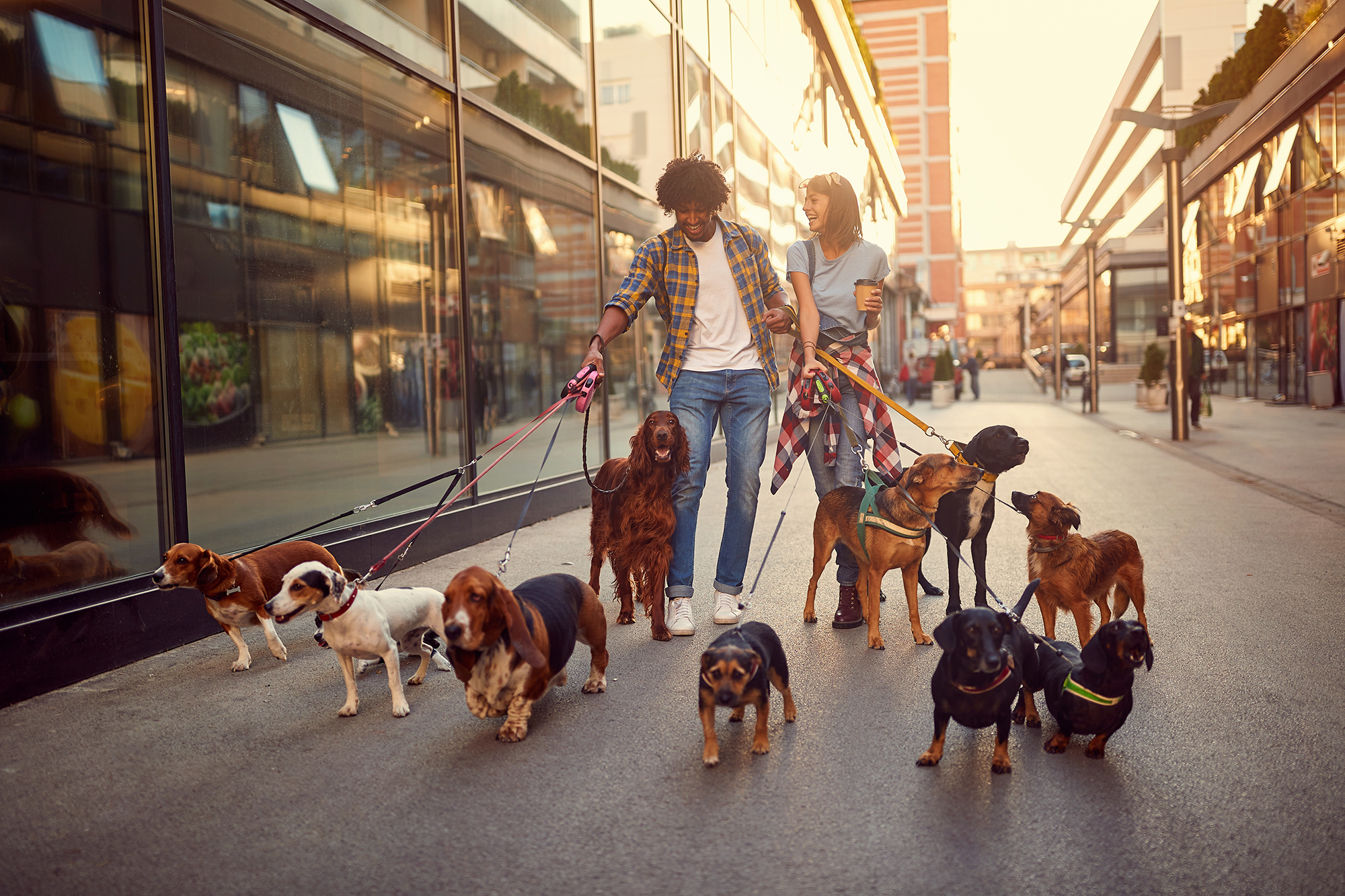 Top 8 Most Dog-Friendly Cities in the US