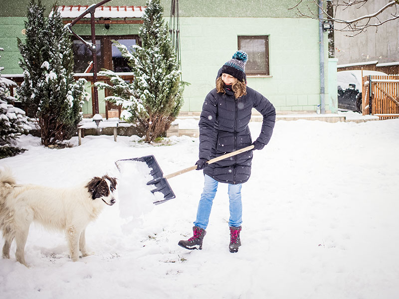 Pet Parent Preparedness: Blizzard Edition