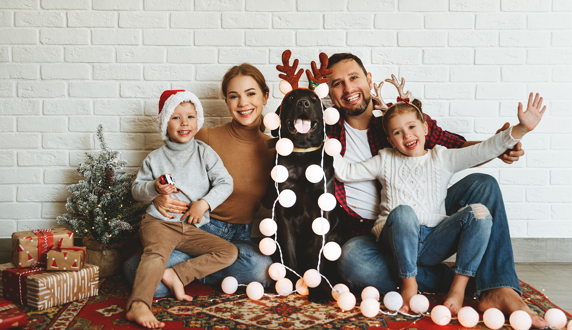 Best Tips for Family Portraits With Pets