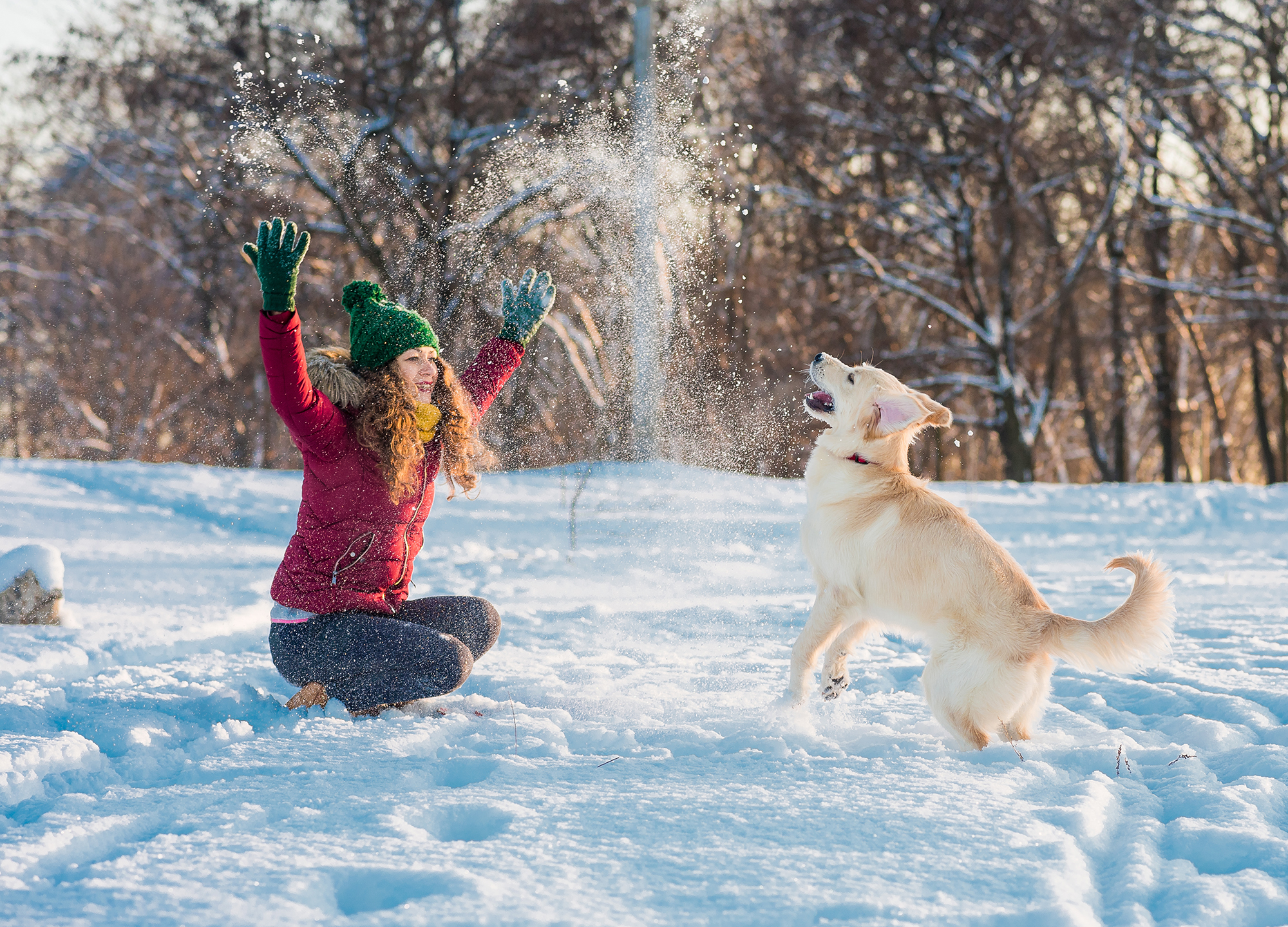 Best Outdoor Winter Activities for You and Your Dog
