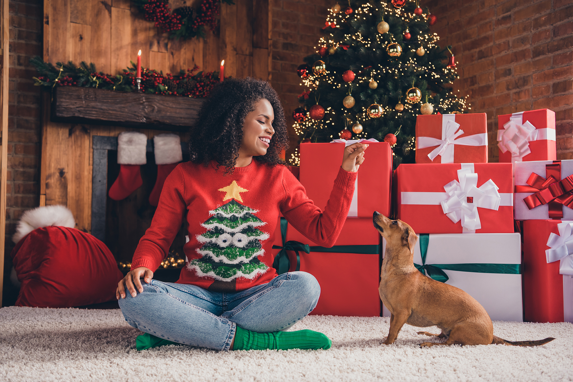Here Comes Santa Paws: Gifts for the Pet Lovers on Your Christmas List