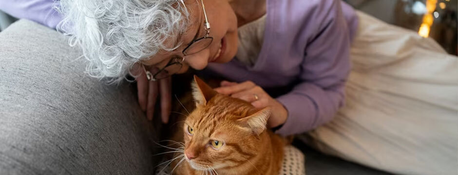 The Benefits of Adopting an Older Cat: Providing Love and Companionship in Their Golden Years