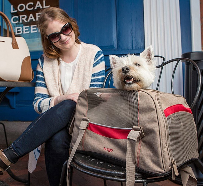 The Best Pets for Travelers and Pet Travel Tips