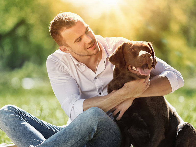 Bring Joy To Your Pandemic Days With a Foster Dog