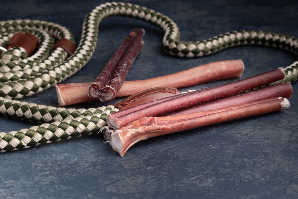 Are Bully Sticks Safe for Dogs?