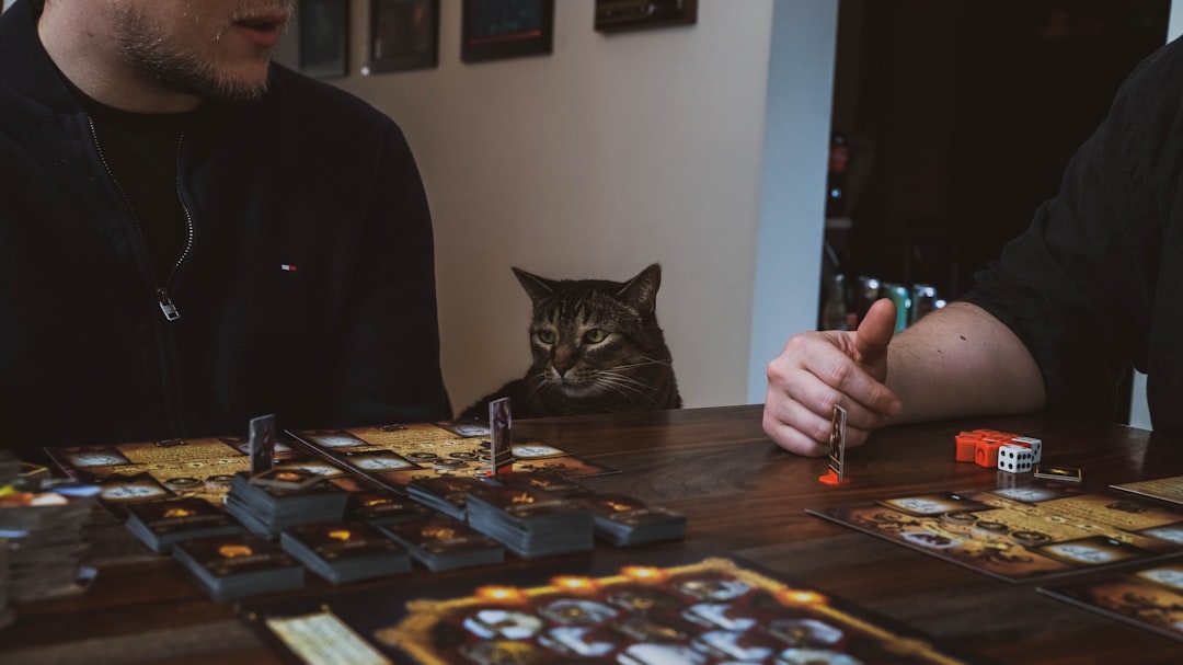 How to Outsmart Your Cat with Clever Brain Games