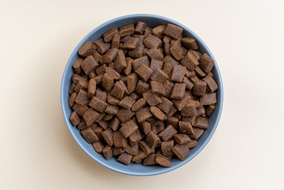 10 Key Premium Dog Food Attributes Revealed