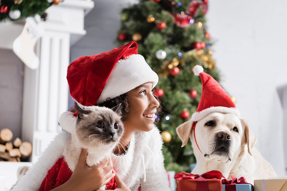 Great Stocking Stuffers For Cat and Dog Lovers
