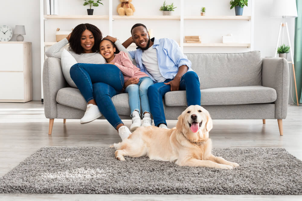 How To Be a Foster Parent for Dogs