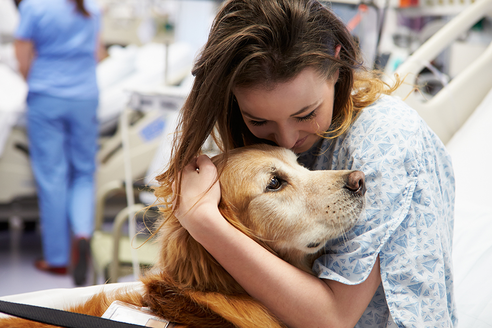 Celebrate National Therapy Animal Day