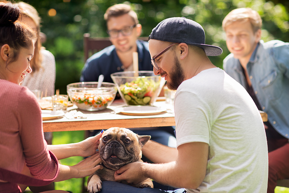 7 Tips For Hosting Pet-Friendly Events